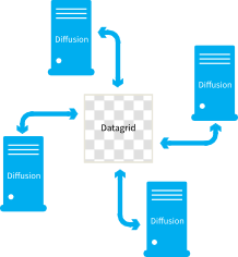 Diffusion servers share information by reflecting it into a datagrid.